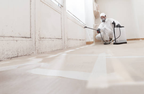 24/7 Emergency Attic Mold Remediation experts in Morrisdale, PA